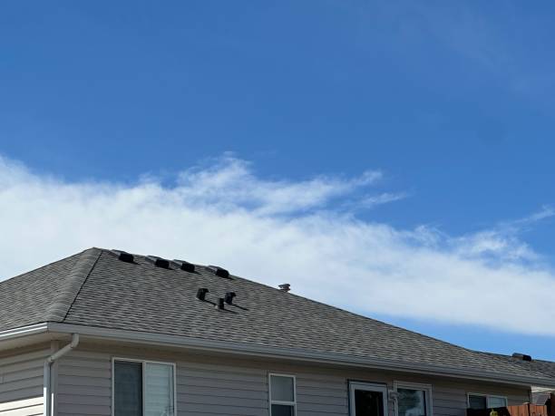 Fast & Reliable Emergency Roof Repairs in Philadelphia, PA